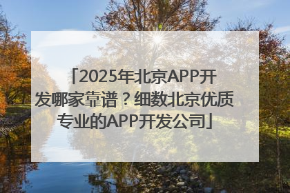 2025年北京APP开发哪家靠谱？细数北京优质专业的APP开发公司