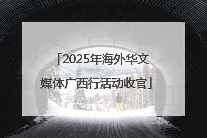 2025年海外华文媒体广西行活动收官