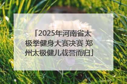 2025年河南省太极拳健身大赛决赛 郑州太极健儿载誉而归