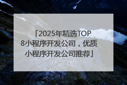 2025年精选TOP8小程序开发公司，优质小程序开发公司推荐