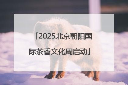 2025北京朝阳国际茶香文化周启动