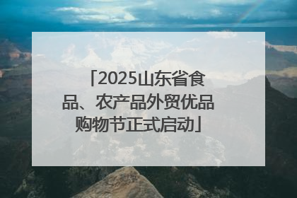 2025山东省食品、农产品外贸优品购物节正式启动