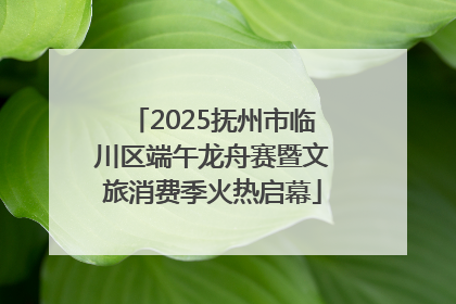 2025抚州市临川区端午龙舟赛暨文旅消费季火热启幕