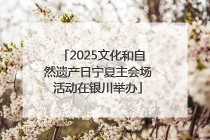 2025文化和自然遗产日宁夏主会场活动在银川举办