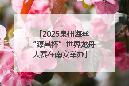 2025泉州海丝“源昌杯”世界龙舟大赛在南安举办
