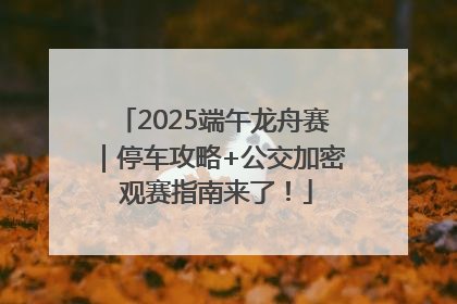 2025端午龙舟赛｜停车攻略+公交加密 观赛指南来了！