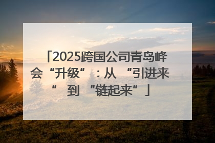 2025跨国公司青岛峰会“升级”：从 “引进来” 到 “链起来”
