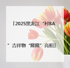 2025黑龙江“村BA”吉祥物“隆隆”亮相