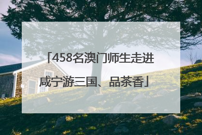 458名澳门师生走进咸宁游三国、品茶香
