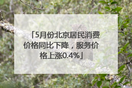 5月份北京居民消费价格同比下降，服务价格上涨0.4%