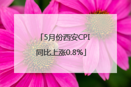 5月份西安CPI同比上涨0.8%