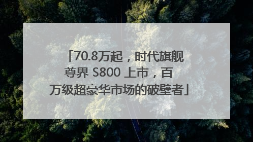 70.8万起，时代旗舰尊界 S800 上市，百万级超豪华市场的破壁者