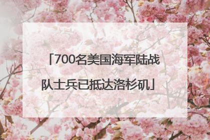 700名美国海军陆战队士兵已抵达洛杉矶