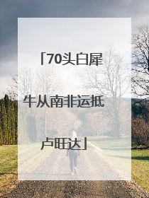70头白犀牛从南非运抵卢旺达