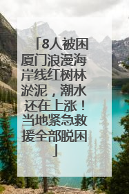 8人被困厦门浪漫海岸线红树林淤泥，潮水还在上涨！当地紧急救援全部脱困