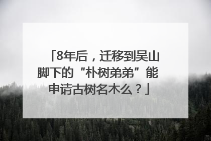 8年后，迁移到吴山脚下的“朴树弟弟”能申请古树名木么？