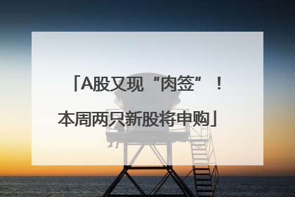 A股又现“肉签”！本周两只新股将申购