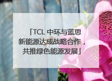 TCL 中环与蓝思新能源达成战略合作，共推绿色能源发展